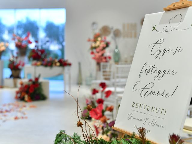 Il matrimonio di Silvana e Domenico a Mottola, Taranto 10