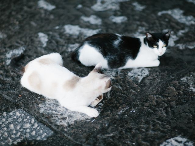 Il matrimonio di Anton e Anastasia a Catania, Catania 29