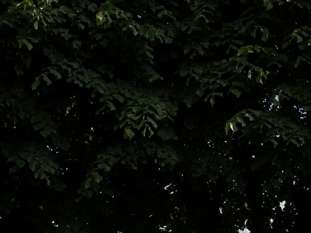 Il matrimonio di Francesco e Céline a Varese, Varese 39