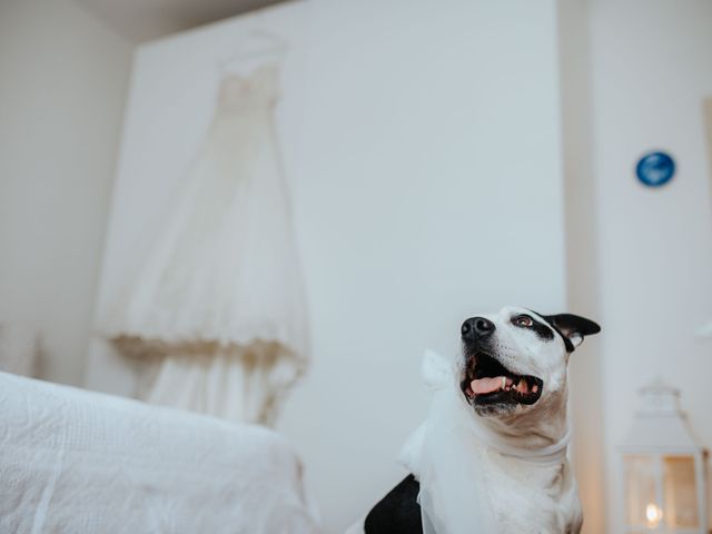 Il matrimonio di Francesco e Caterina a Livorno, Livorno 26