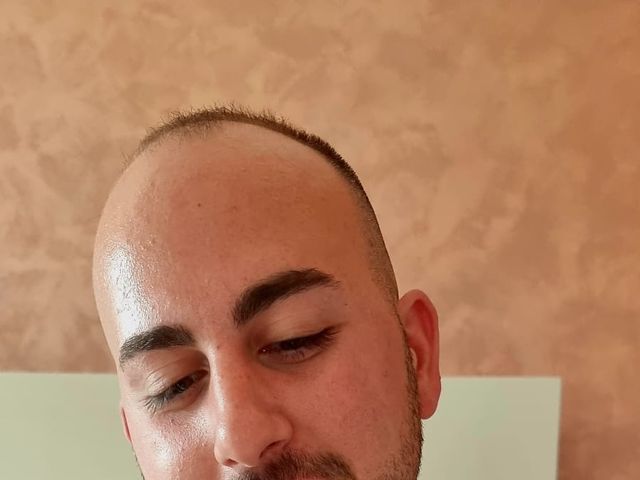 Il matrimonio di Ilaria e Alessandro  a Lentate sul Seveso, Monza e Brianza 2