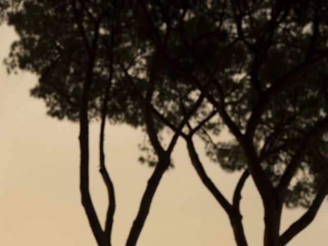 Il matrimonio di Serena e Daniele a Roma, Roma 3