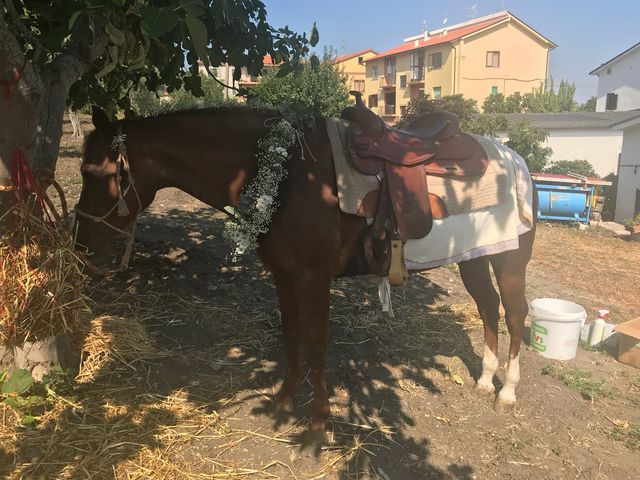 Il matrimonio di Lorenzo e Giulia a Rotello, Campobasso 7