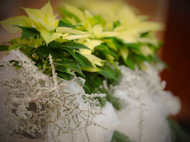 Il matrimonio di Marco e Diana a Nogara, Verona 8