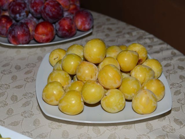 Il matrimonio di Giovanni e Alessandra a Capoterra, Cagliari 55