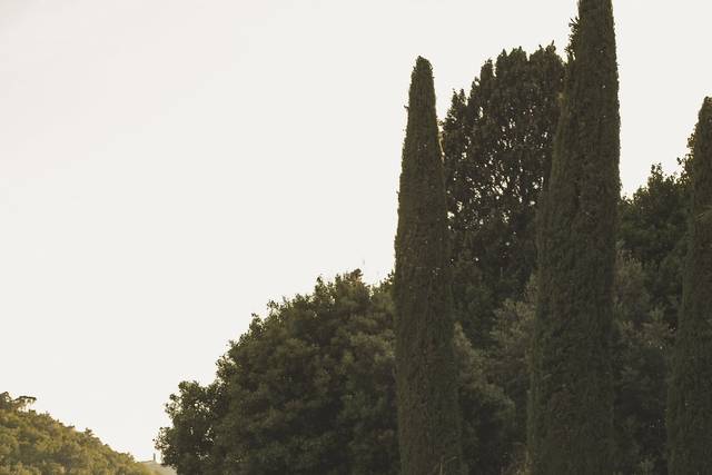 Le nozze di Martina e Alessio 2