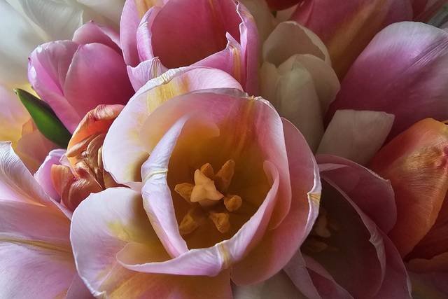 Le nozze di Gemma  e Alberto  2