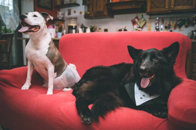 Le nozze di Serena e Daniele 2