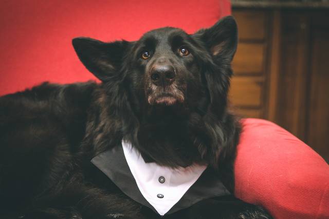 Le nozze di Serena e Daniele 3