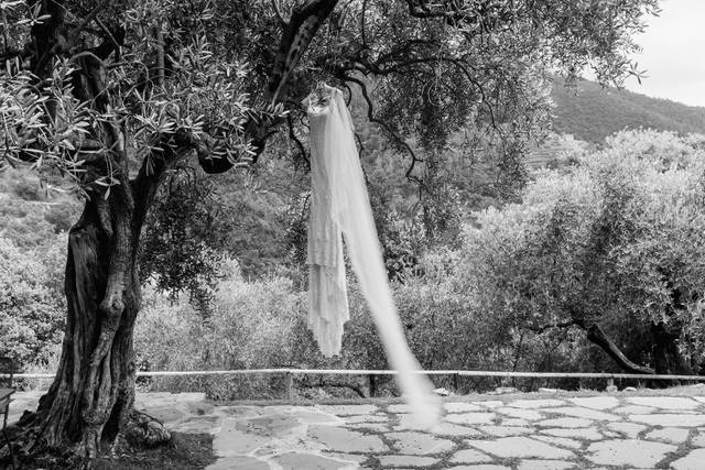Le nozze di Carola e Paolo 1