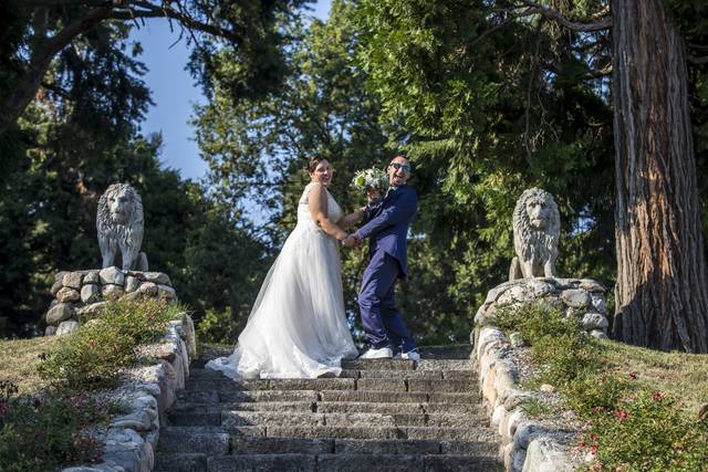 Katturare le emozioni 2
