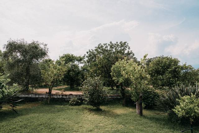 Le nozze di Sabina e Marius 2