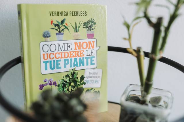 Le nozze di Angela e Luca 1