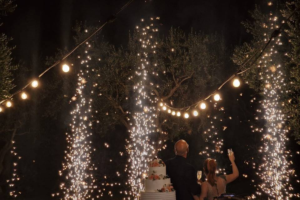 Le nozze di antonella e aldo