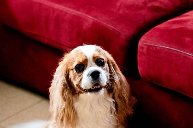 Le nozze di Elisa e Luca 1