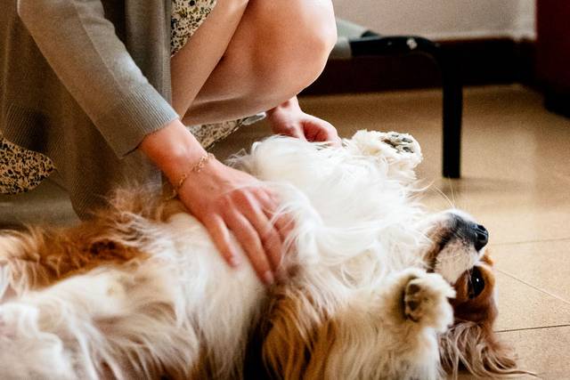 Le nozze di Elisa e Luca 2