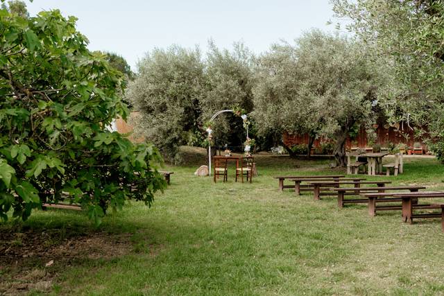 Le nozze di Barbara e Giacomo 2
