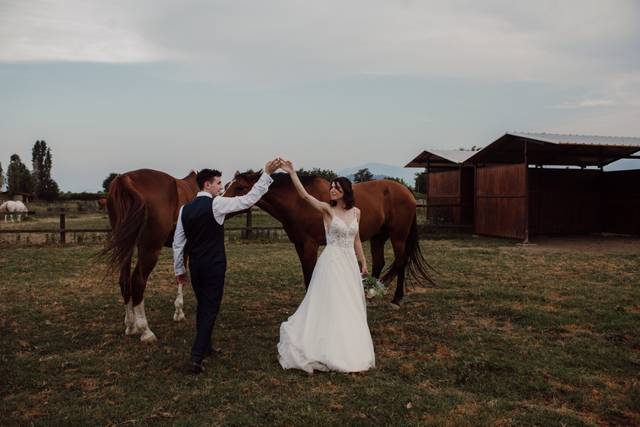 La Laurentia Horse House 2