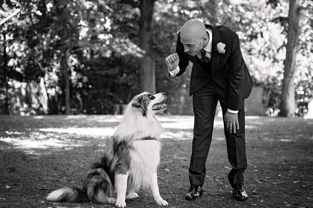 Le nozze di Stefano e Alessia 2
