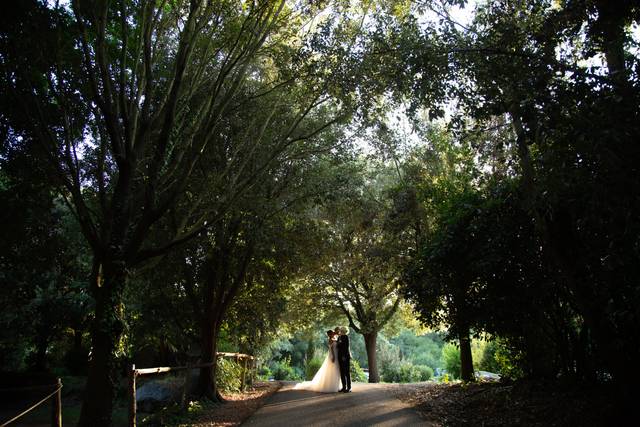 Le nozze di Giuseppe e Barbara 1