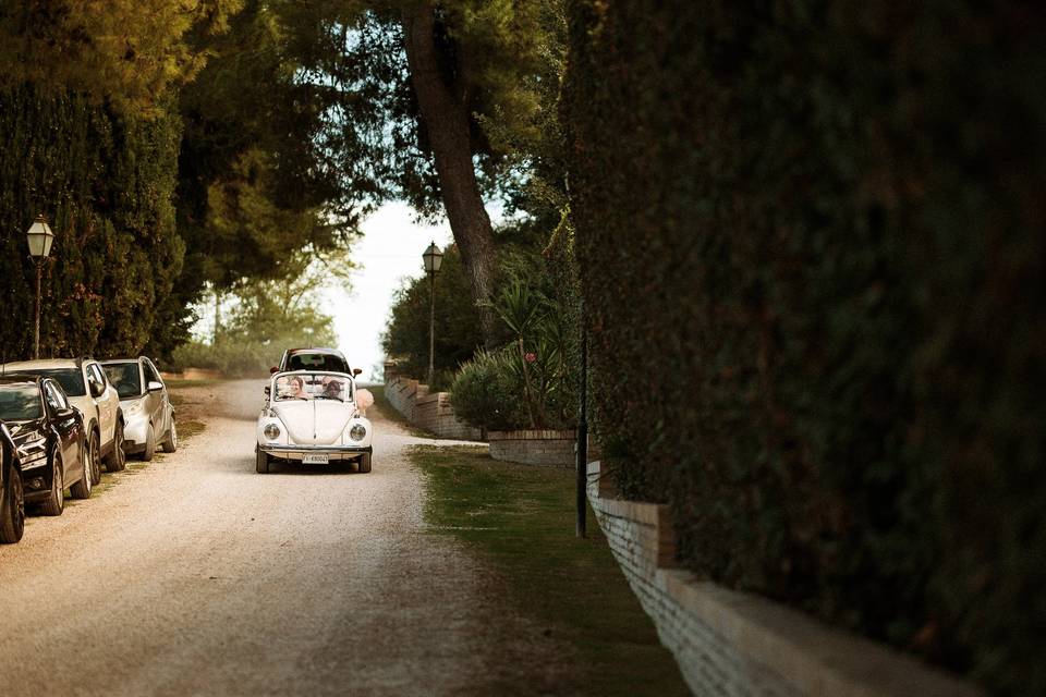 Le nozze di Thomas e Liss