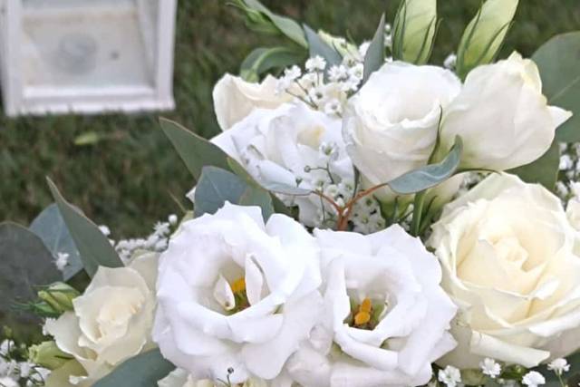 Le nozze di Federica  e Fabrizio  3