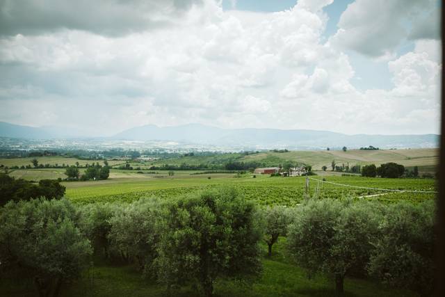 Le nozze di Monica e Ugo 2