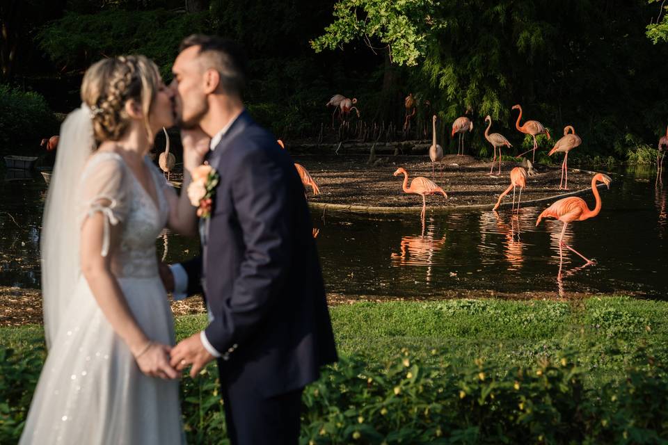 Le nozze di Anna e Francesco