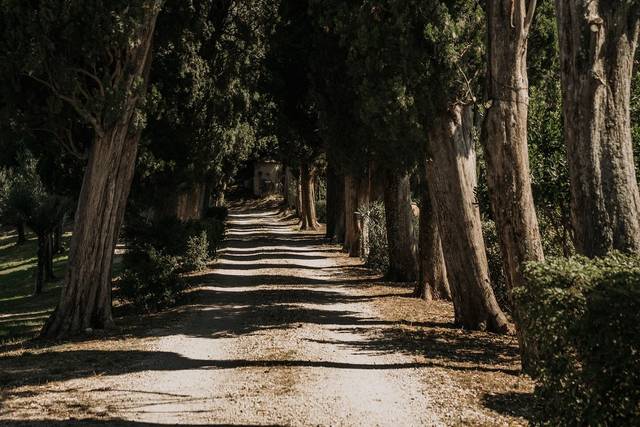 Le nozze di Francesco e Anastasia 1