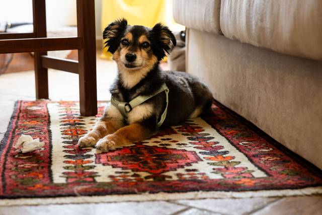 Le nozze di Martina e Andrea 3