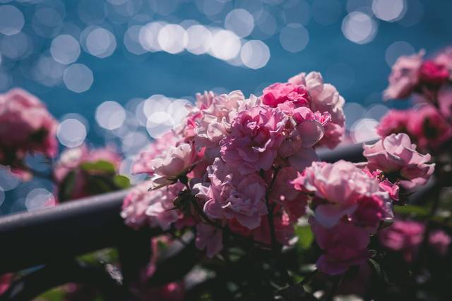 Le nozze di Silvia e Davide 3