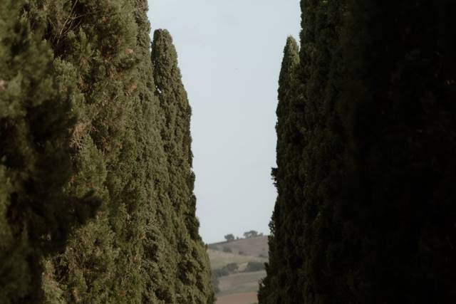 Le nozze di Lorenzo e Federica 2