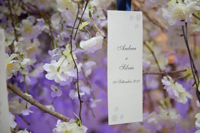 Le nozze di Andrea e Silvia 1