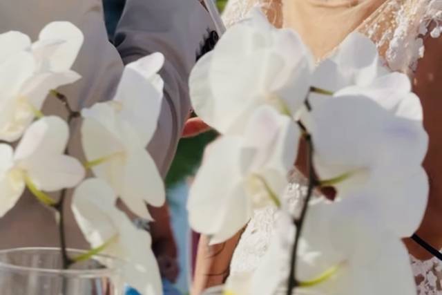 Le nozze di Micol e Christian  1