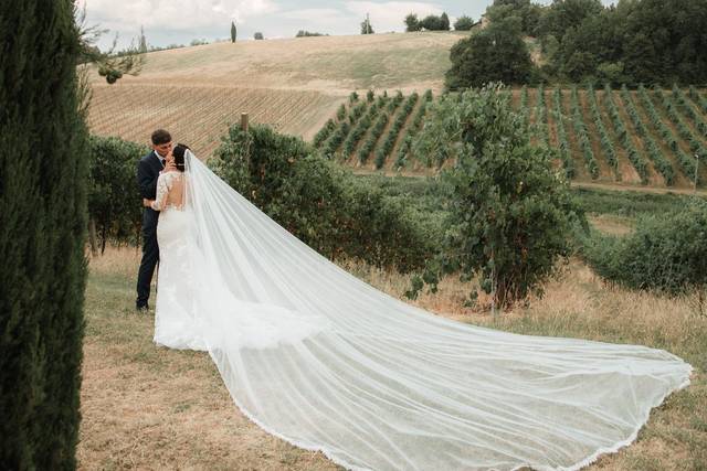 Le nozze di Francesco e Chiara 1