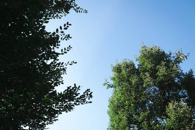 Le nozze di Carol e Fabiano 1