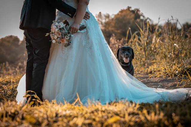 Le nozze di Valentina e Vito 2