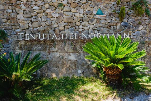 Le nozze di Adriana e Adriano 1