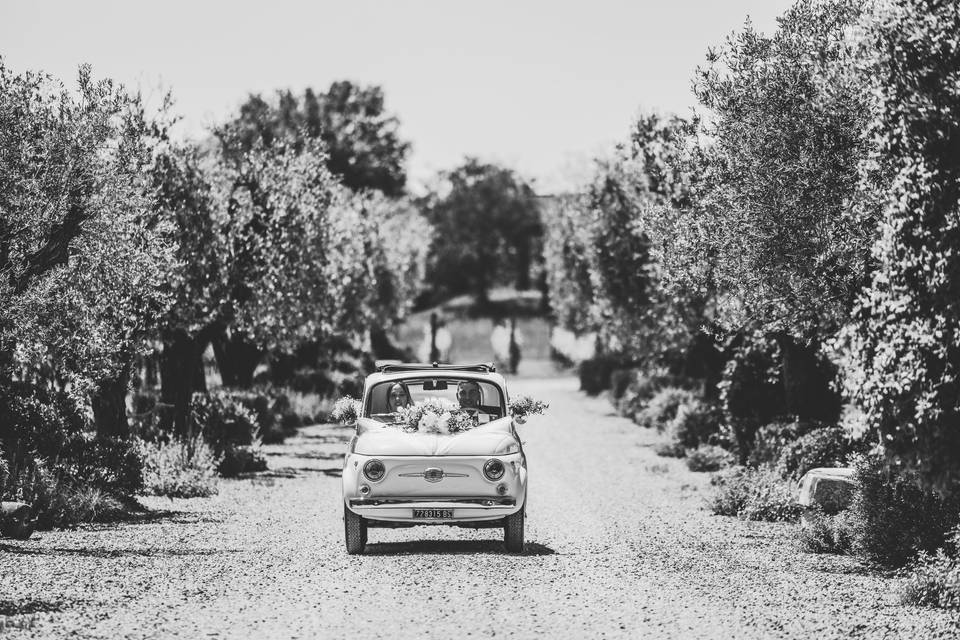Le nozze di Francesca e Luca