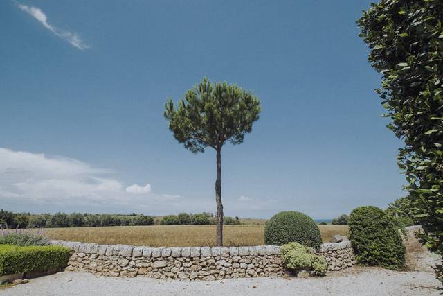 Le nozze di Irene e Sergio 1