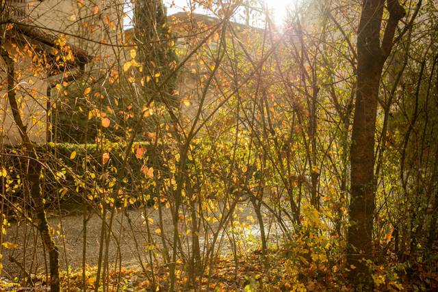 Le nozze di Diletta e Stefano 2