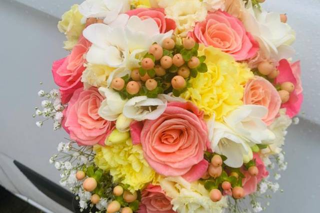 Le nozze di Sofia e Lorenzo  1