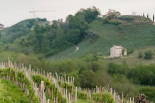 Agriturismo Vedova - 16