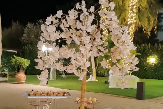 Villa Briccone 4