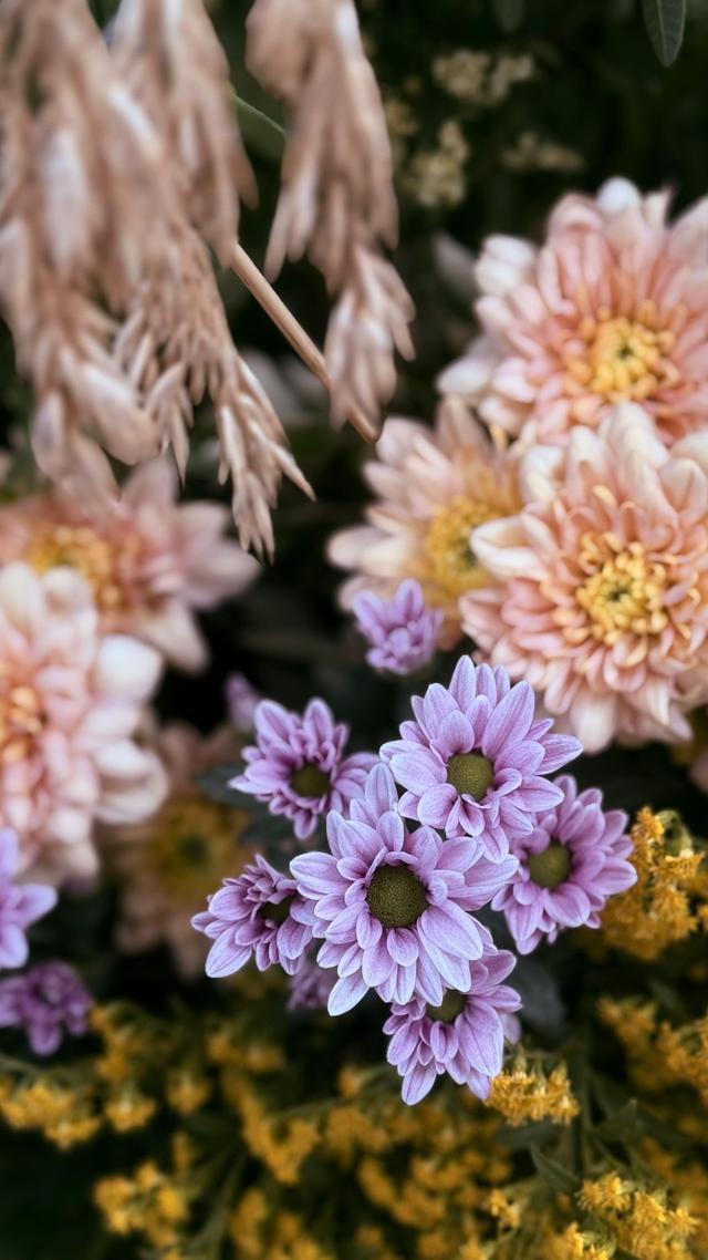 Fioreria Flowers - 2