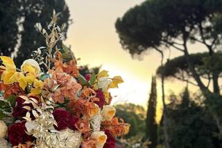 Sara Ingrassia Location & Wedding Manager - 8