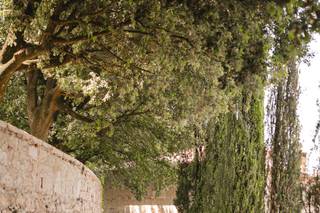 Borgo di Camporsevoli - 6