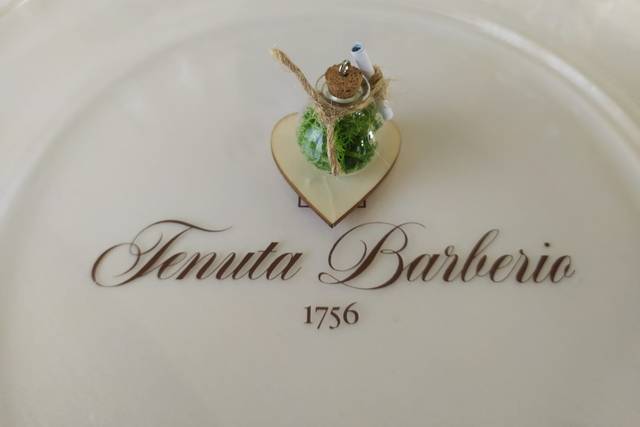 Tenuta Barberio 4