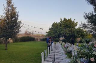 Villa Barone Alfieri - 11