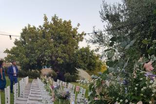 Villa Barone Alfieri - 13
